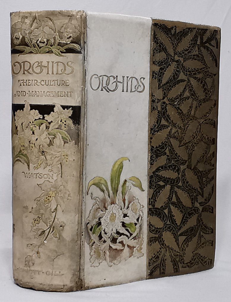 William Watson - Orchids. Their Culture and Management (With 15 Colour Plates) - 1890 #1.0