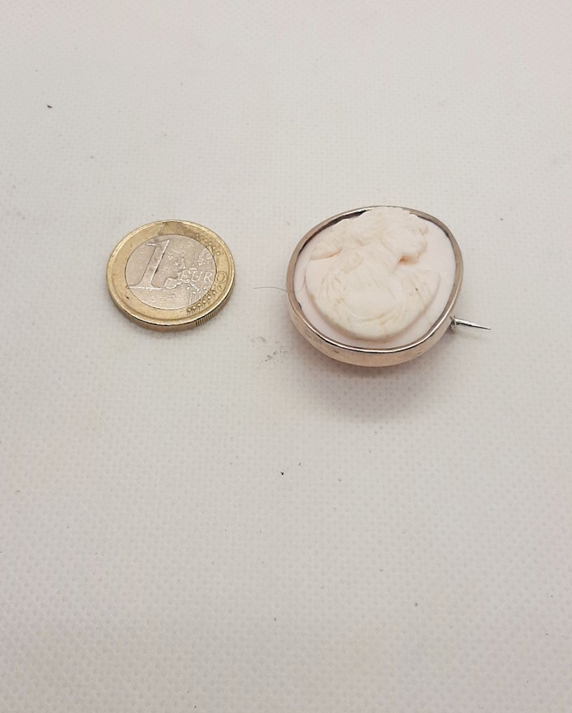 Zonder minimumprijs - Broche - 12 kt. Geel goud #3.2