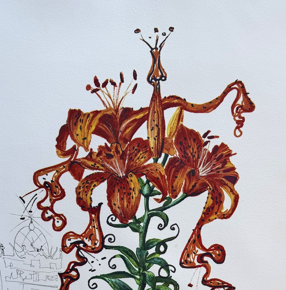 Salvador Dali (1904-1989) - Lilium : Lys tigrés #2.1