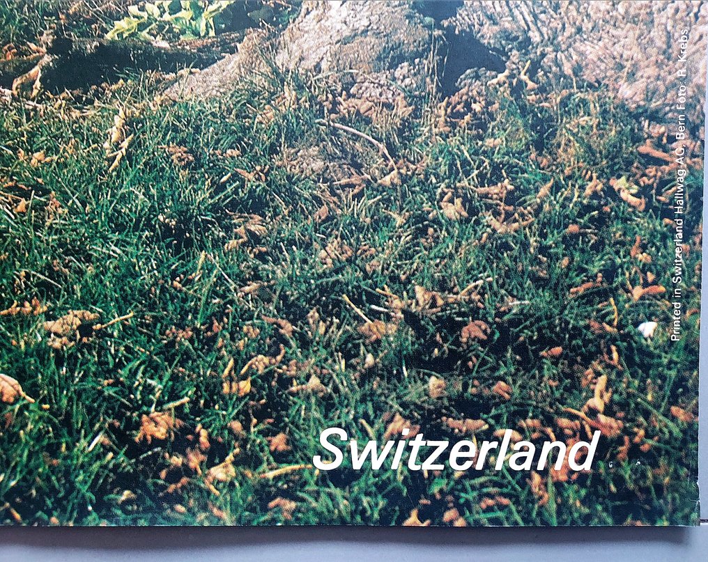 Krebs, Rolf - Switzerland- Berner Oberland, 1980 #3.2
