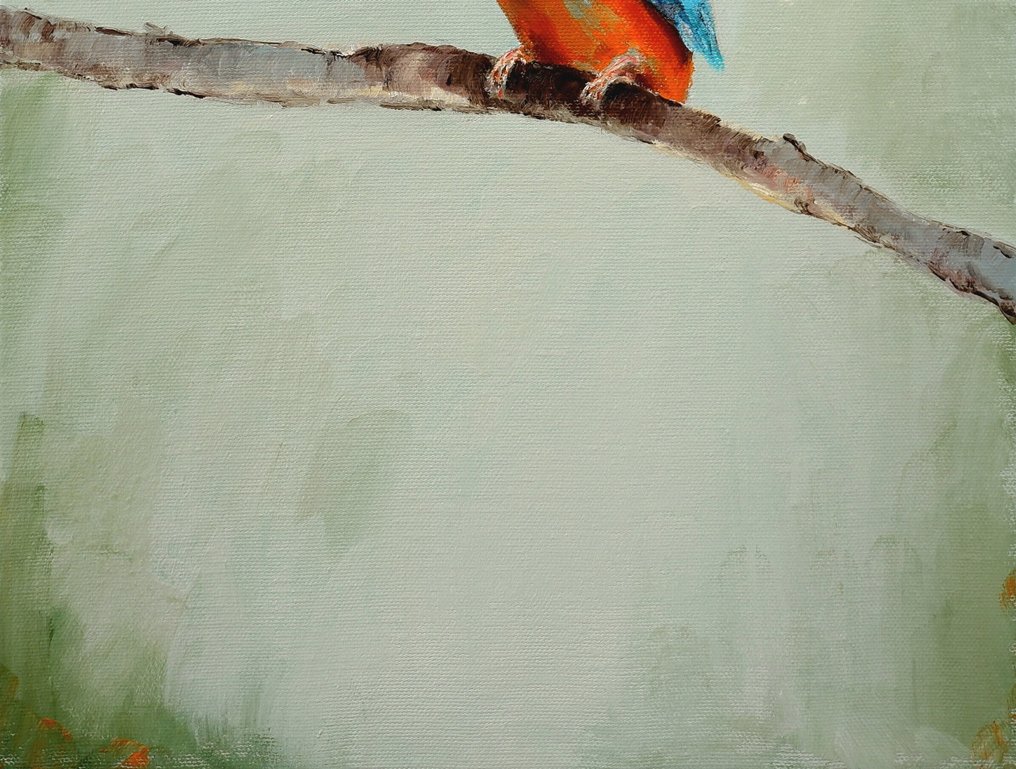 Matthieu van Riel - IJsvogel #3.2