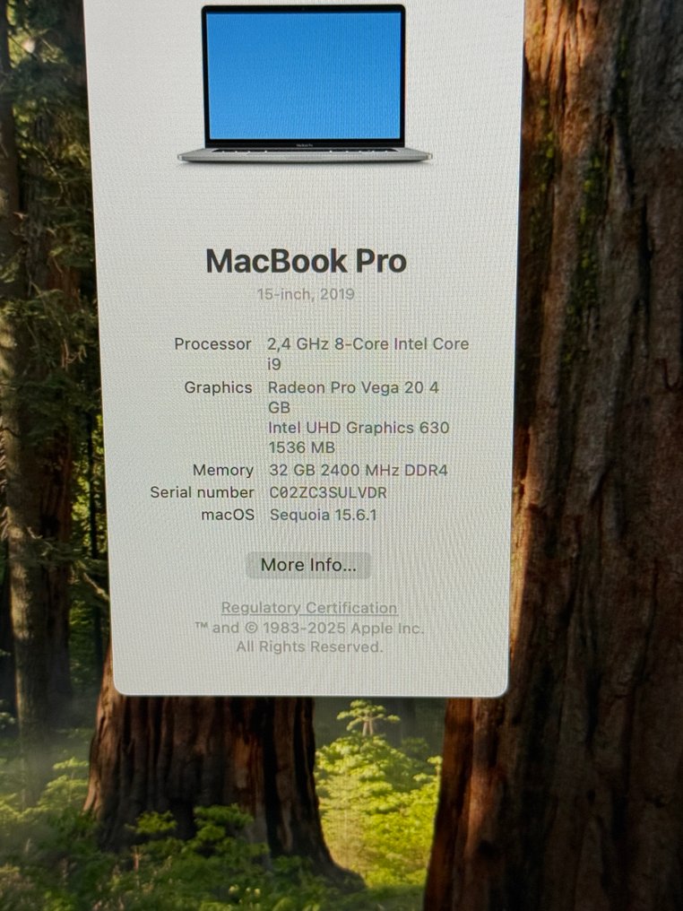 Apple MacBook Pro 15-inch (2019) OctoCore i9, 32 GB RAM, 1 TB SSD - Computador portátil (1) #4.3