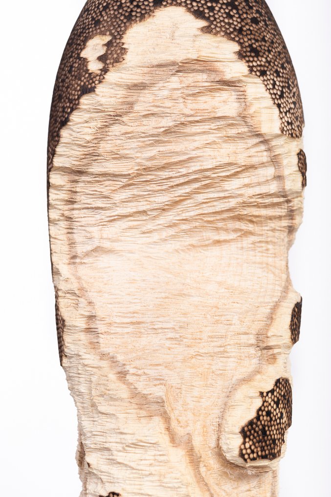 Riccardo Masini - Rovine - No Reserve  #3.2