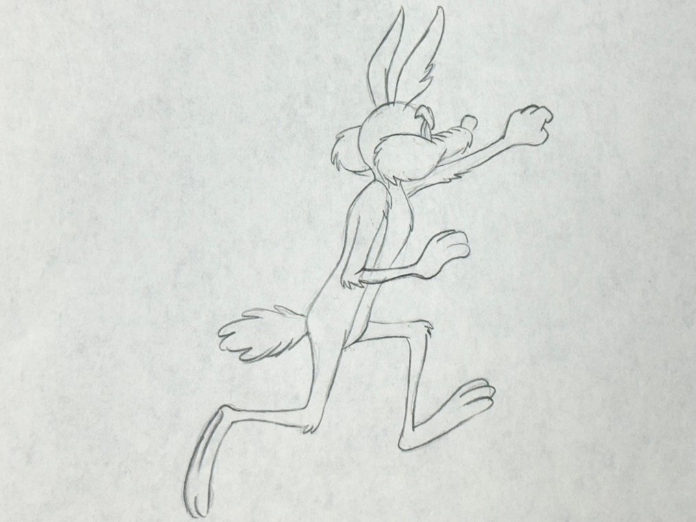 Looney Tunes, 1960's - 1 Originalanimationszeichnung von Coyote #1.0