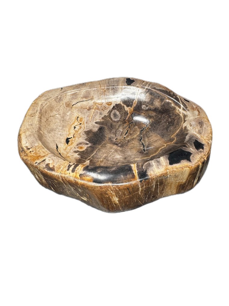 碗 - 化石木 - 2,1 千克，手工抛光 #4.3