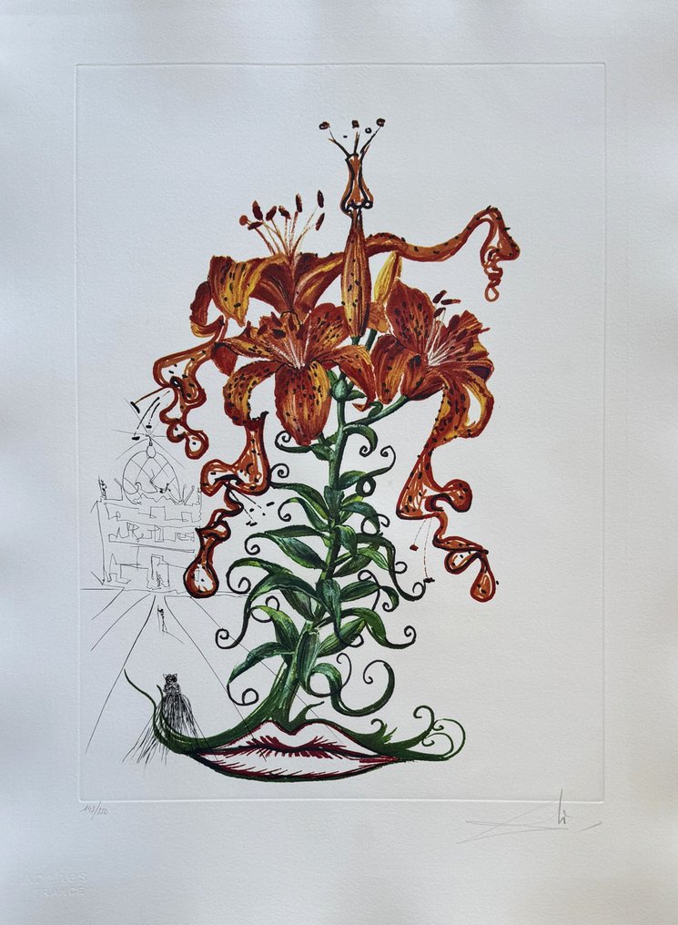 Salvador Dali (1904-1989) - Lilium : Lys tigrés #1.0