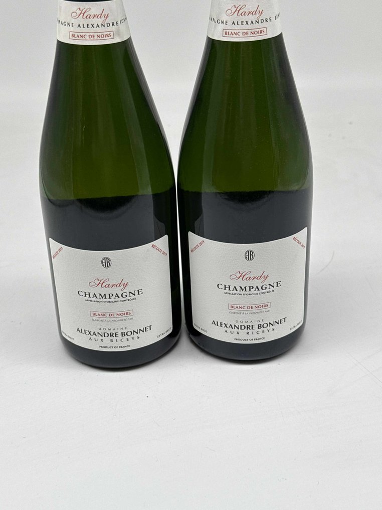 2019 Alexandre Bonnet, Hardy - Champagne Extra Brut, Blanc de Noirs - 2 Pullot (0.7 L) #1.0