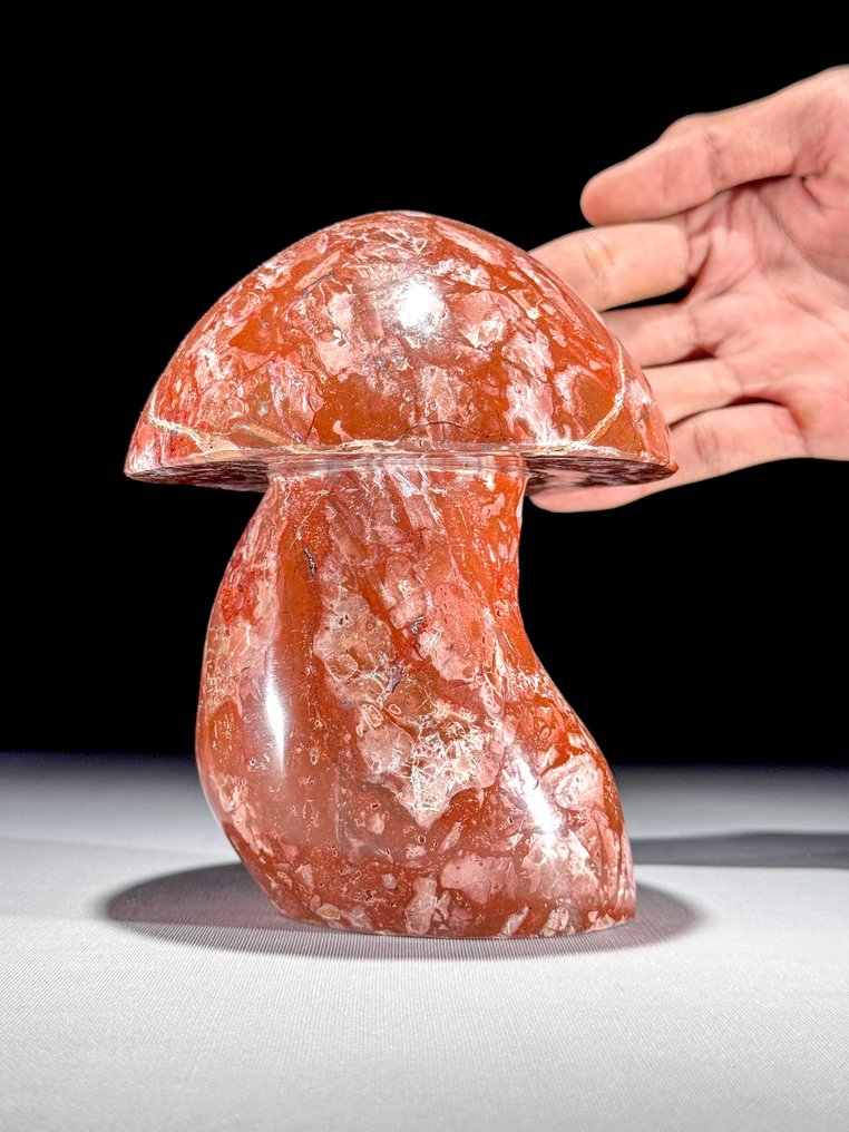 Χωρίς ελάχιστη τιμή - Χειροποίητο γλυπτό μανιταριού από κόκκινο τζάσπερ. Μοναδικό Ανάλεκτο Συλλέκτη - Ύψος: 15.5 cm - Πλάτος: 12 cm- 2300 g - (1) #1.0