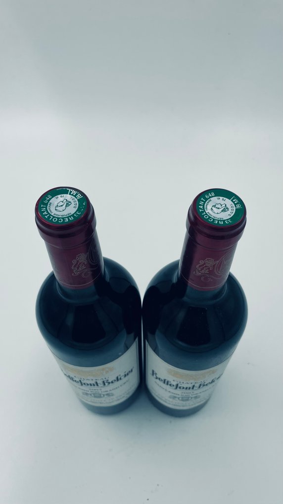 2005 Château Bellecier - Saint-Émilion Grand Cru Classé - 2 Pullot (0.7 L) #2.1