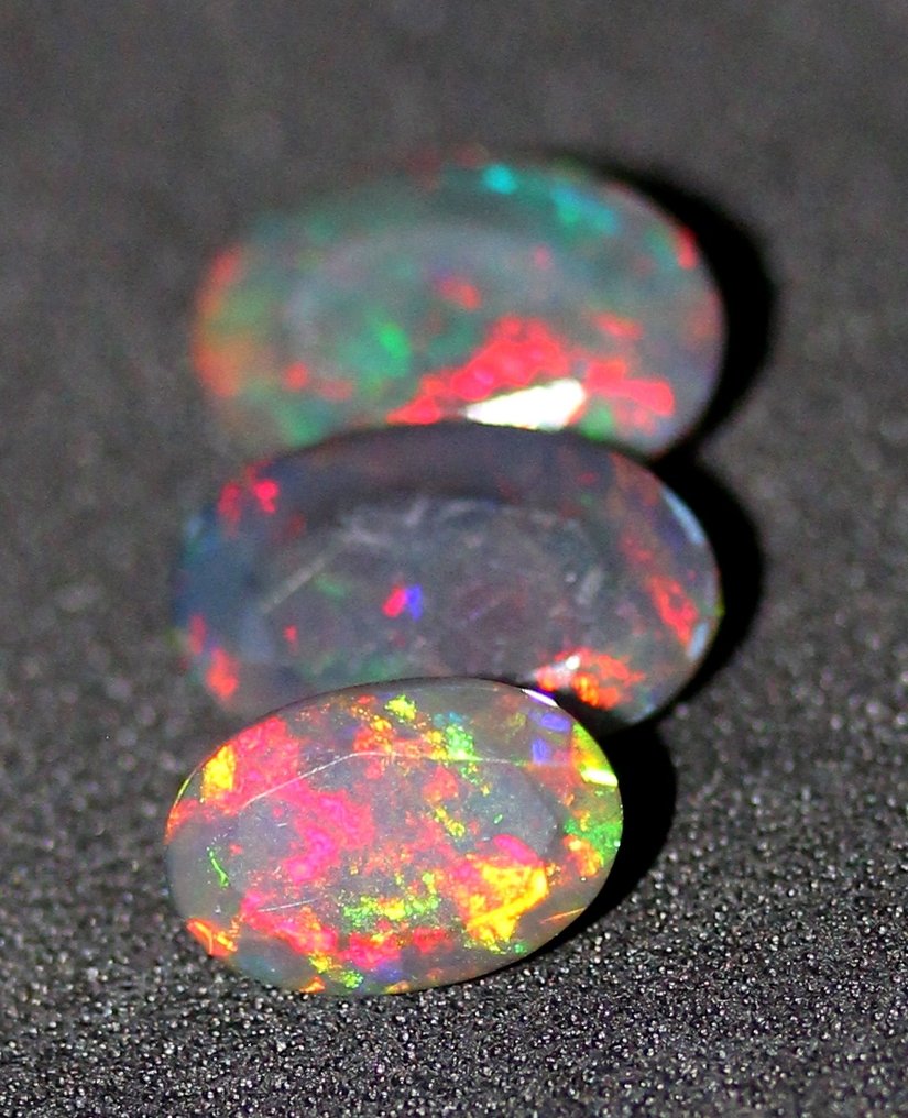 3克拉正品黑欧泊，带多彩彩虹闪光 - 2.59 克拉 - 无底价 磨光- 0.52 g #1.0