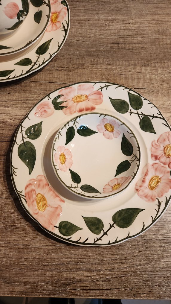 德国唯宝 - 餐桌用具 (12) - Wildrose - 瓷 - 手工绘制 #3.2