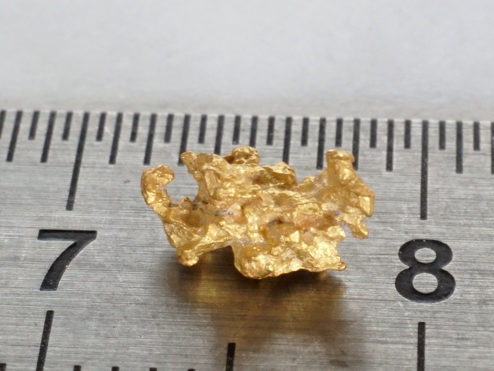 金 毛里塔尼亚金块- 0.33 g - (1) #1.0