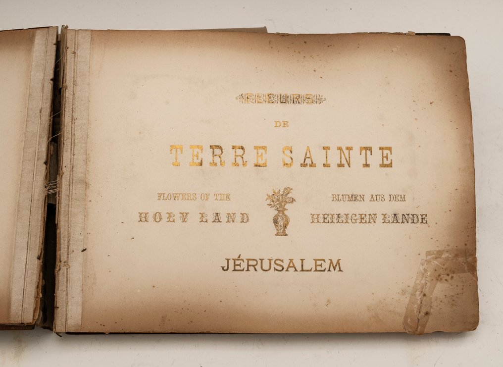 Άλμπουμ φωτογραφιών - Fleures de Terre Sainte - Israel - 1890 #3.2