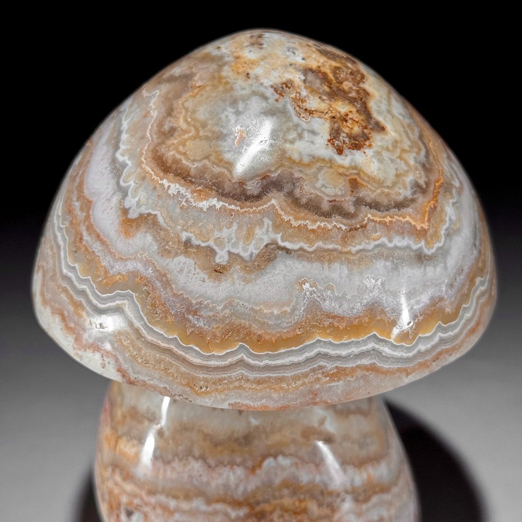Χωρίς ελάχιστη τιμή - Όμορφη χειροποίητη γλυπτή από δαντελωτό αχάτη μανιταριού. Μοναδικό Ανάλεκτο Συλλέκτη - Ύψος: 15.5 cm - Πλάτος: 11.2 cm- 2200 g #1.0