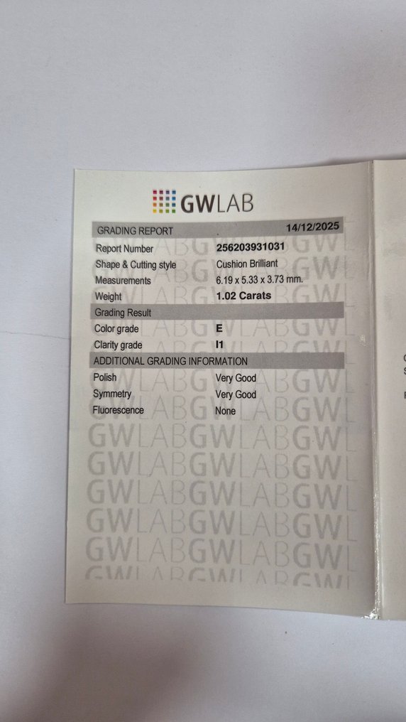 No reserve price - 1 pcs Diamond (Natural) - 1.02 ct - Cushion - E - I1 - Gemewizard Gemological Laboratory (GWLab) #3.2