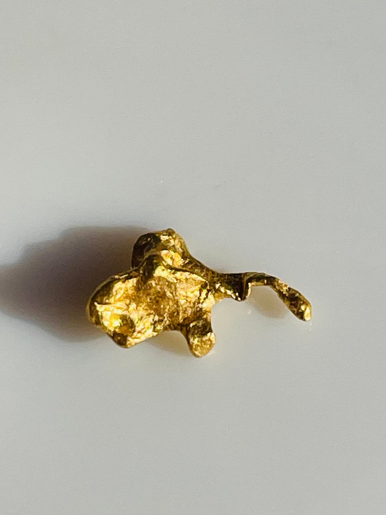 Gold Nuggets- 0.49 g - (1) #3.2