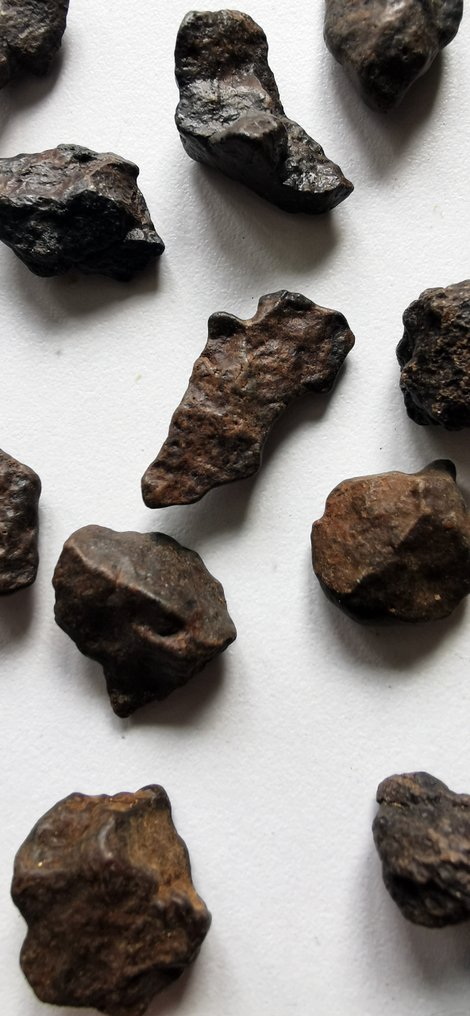 Kondrit meteorit - 79 g - (50) #2.1