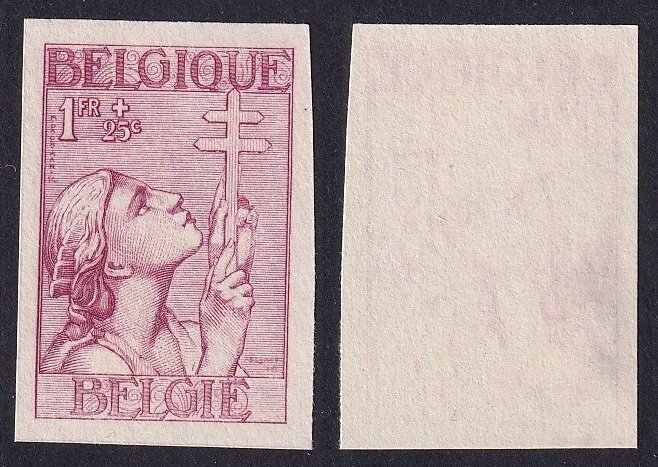 Belgien 1932 - Sjælden fuld serie af tuberkulosebekæmpelse 'Kruis van Lotharingen' - sjælden - oplag 200 stk - OBP 377/83 #4.3