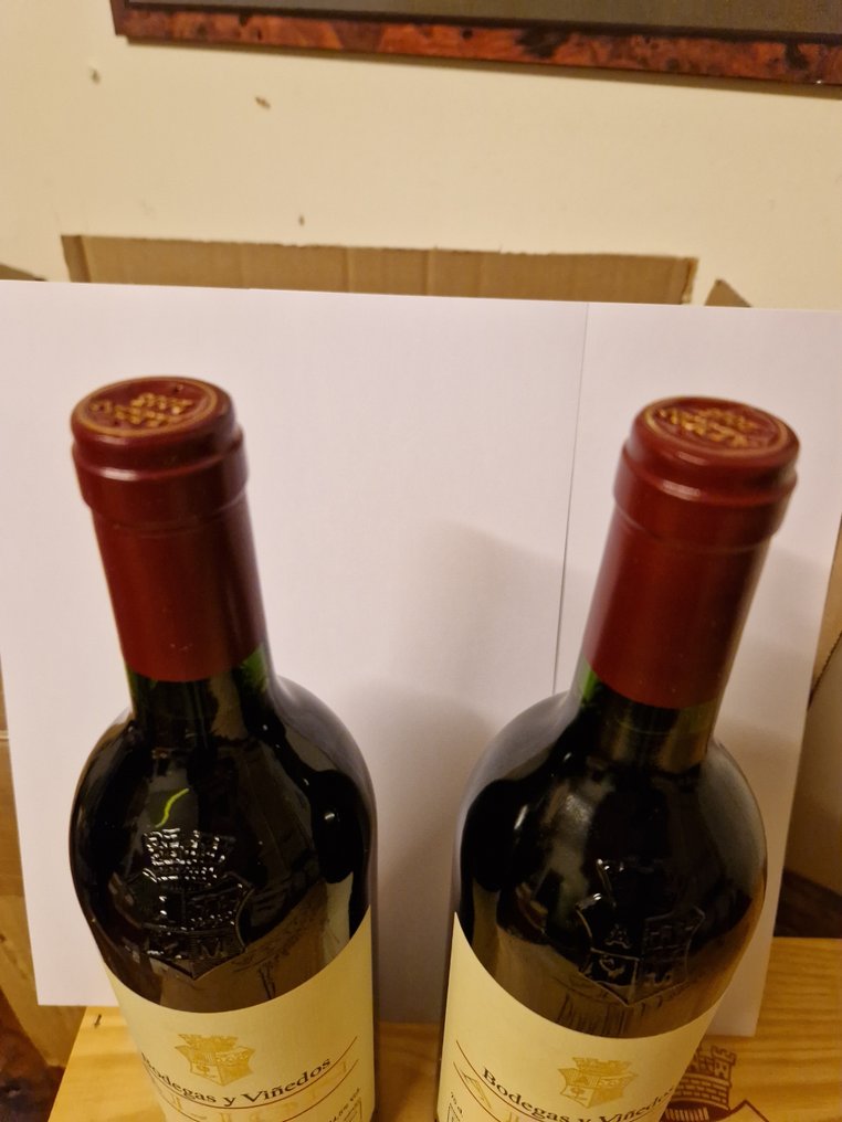 2005 Bodegas y Viñedos Alion - 斗罗河岸 - 2 Bottles (0.75L) #3.2