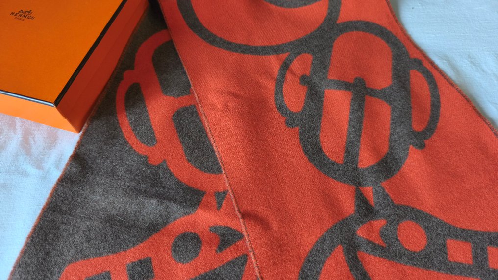 Hermès - ÉCHARPE FRANGÉE DOUBLE FACE EN CACHEMIRE - Écharpe #4.3