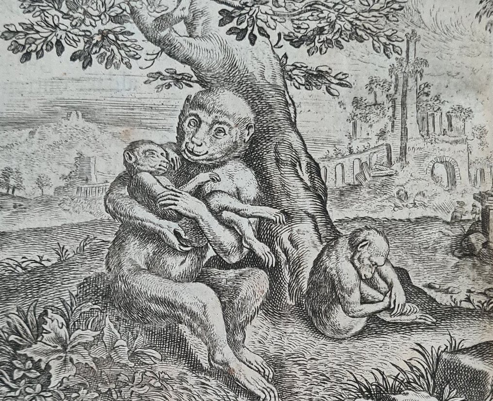 Joost van den Vondel - Emblemata; Werken van Vondel in 12 banden o.a. Warande, Gulden Winkel, Ovidius - 1646 #3.2