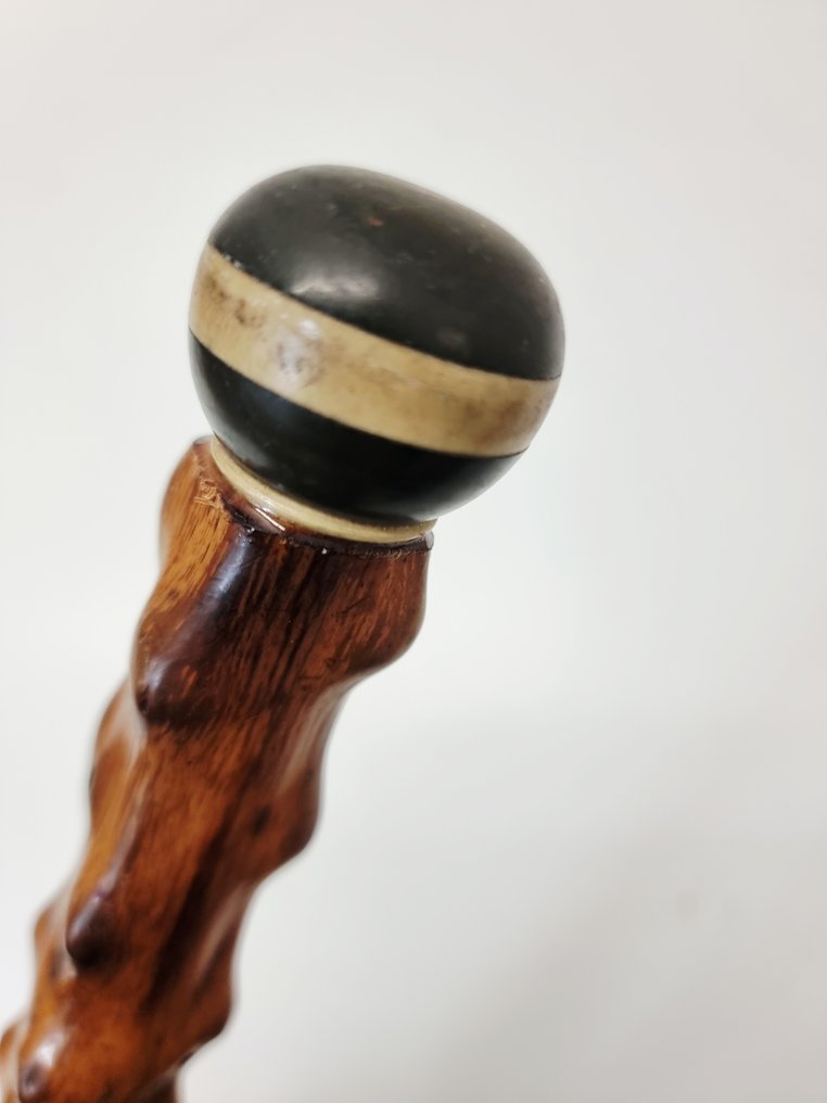 Walking stick - blackthorn #1.0
