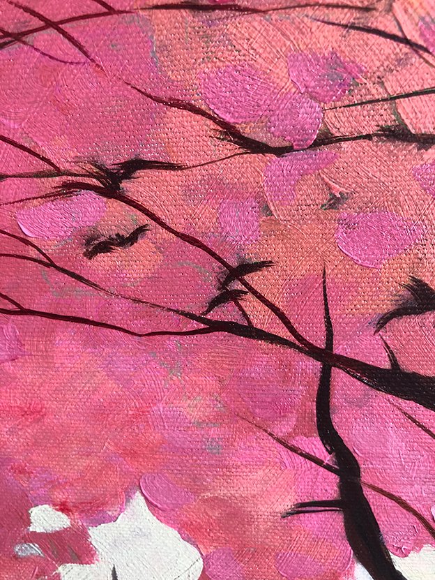 Bondero - A quiet bay in Tenerife #4.3