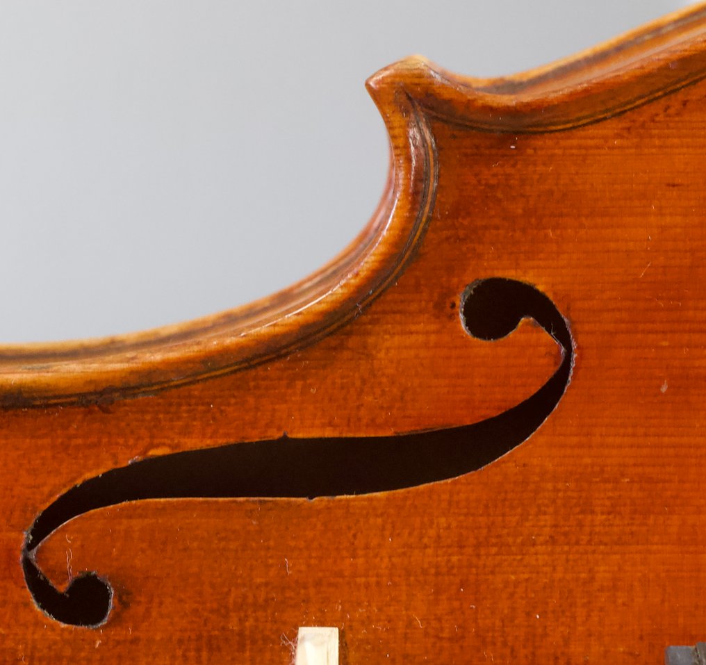 Labelled Cavani Vincenzo -  - Violin - Unknown #4.3