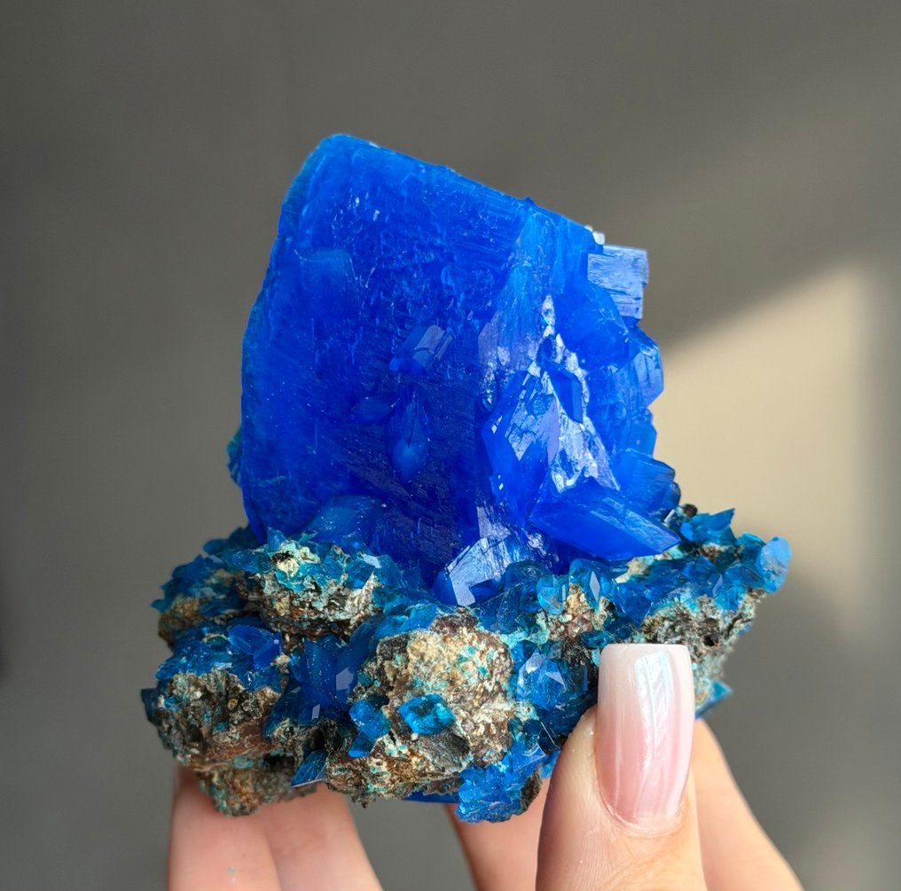 NO RESERVE! 150g Royal Blue CHALCANTHITE Crystal on Matrix Copper Flower Crystal on matrix - Height: 8 cm - Width: 7.9 cm- 150 g #2.1