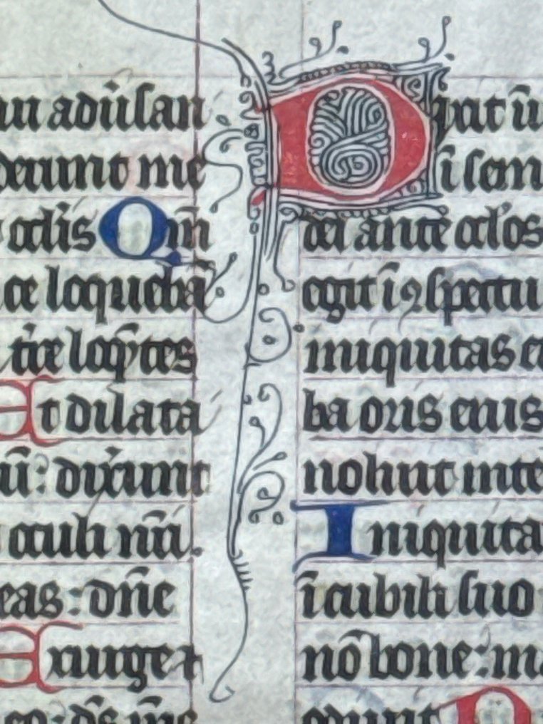 French scriptorium of the Middle Ages - Breviary illuminated leaf on vellum France 14th Cent. Beautiful filigree initials in red and blue - 1350 #3.2
