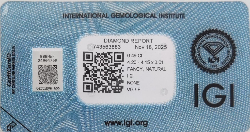 没有保留价 - 1 pcs 钻石  (天然色彩的)  - 0.49 ct - 枕形 - Fancy intense 黄色 - I2 内含二级 - 国际宝石研究院（IGI） #2.1