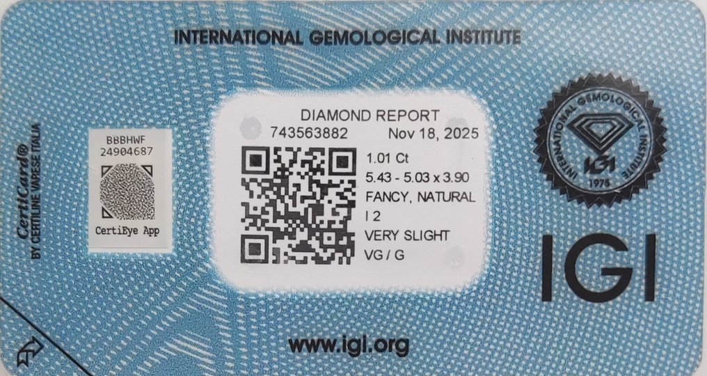 没有保留价 - 1 pcs 钻石 (天然色彩的) - 1.01 ct - 枕形 - Fancy 黄色 - I2 内含二级 - 国际宝石研究院(IGI) #2.1