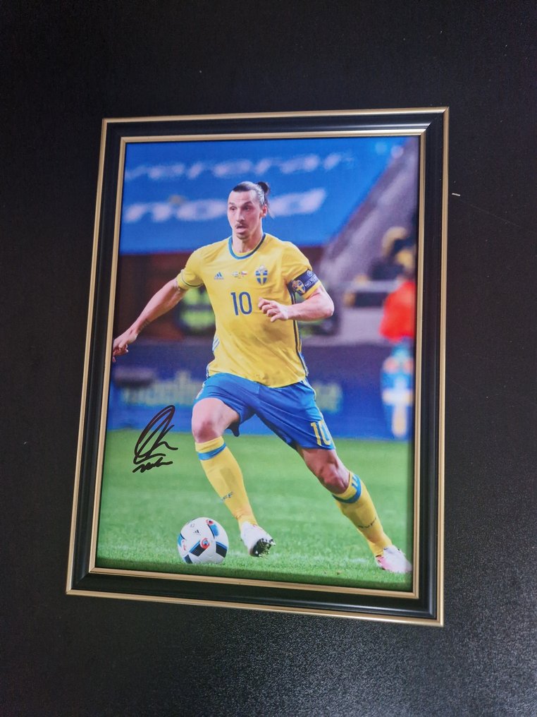 Zlatan Ibrahimović - Φωτογραφία  #2.1