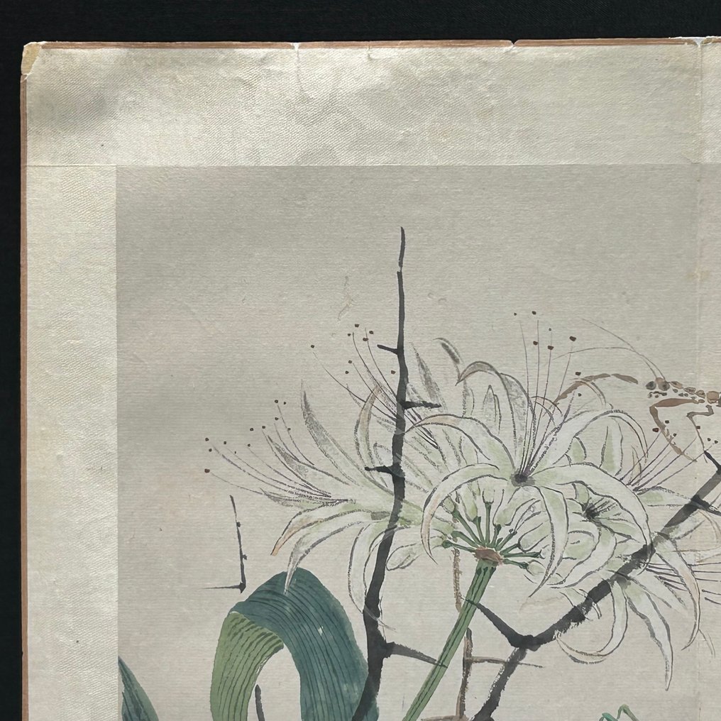 aquarel schildering met daslook en insekten - gesigneerd - Chine - Dynastie Qing (1644–1911)  (Sans prix de réserve) #2.1