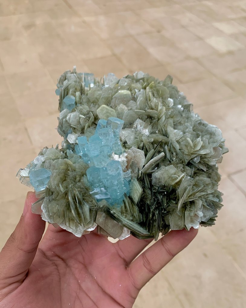 令人惊叹的海蓝宝终止晶体簇与白云母云母结合 标本 - 高度: 155 mm - 宽度: 137 mm- 1049 g - (1) #4.3