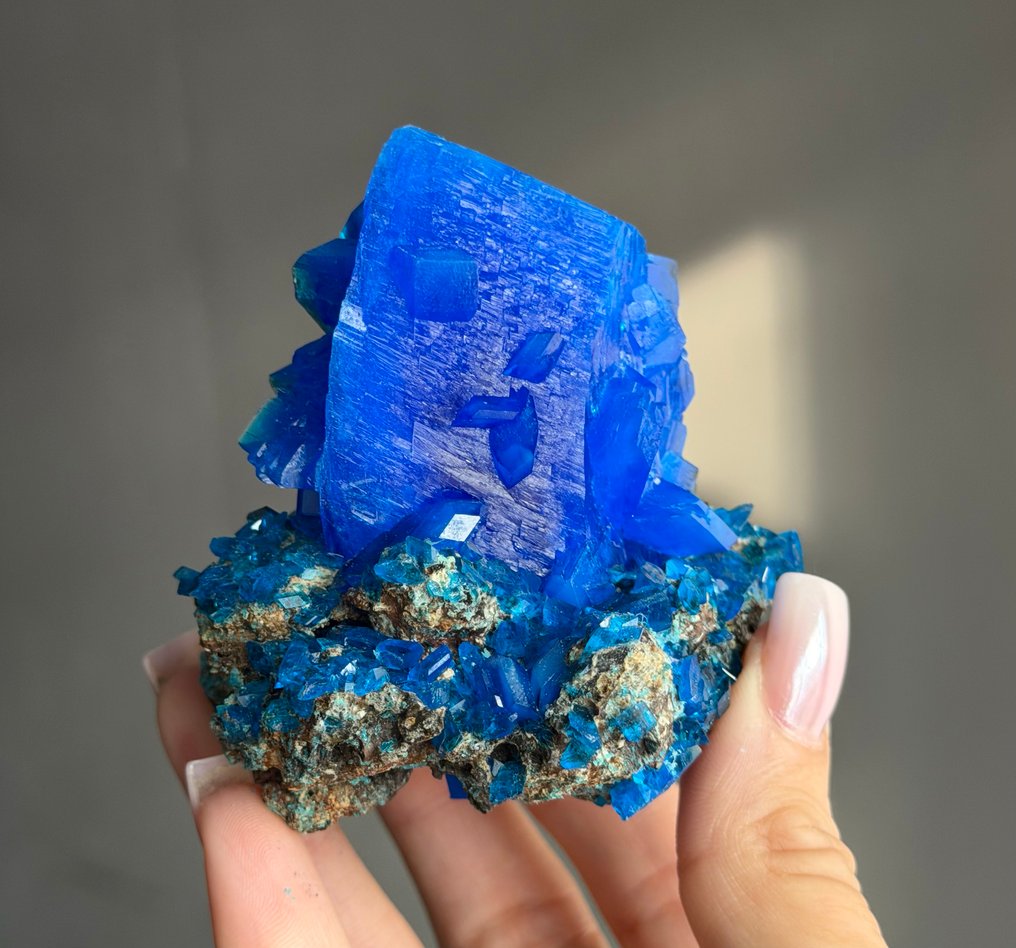 NO RESERVE! 150g Royal Blue CHALCANTHITE Crystal on Matrix Copper Flower Crystal on matrix - Height: 8 cm - Width: 7.9 cm- 150 g #1.0