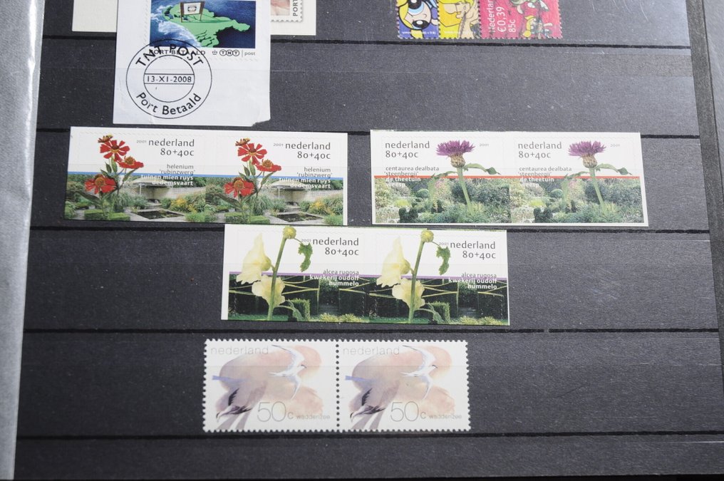 Netherlands  - Large batch with quantities in various stock books (312 photos) #3.2