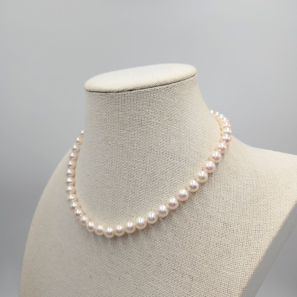 χωρίς τιμή ασφαλείας - Κολιέ Ασημί Μαργαριτάρι - Akoya 7,5mm 16 ίντσες #3.2