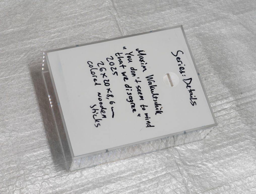 Maxim Wakultschik (1973) - you don't seem to mind that we disagree - 3D Object #3.2