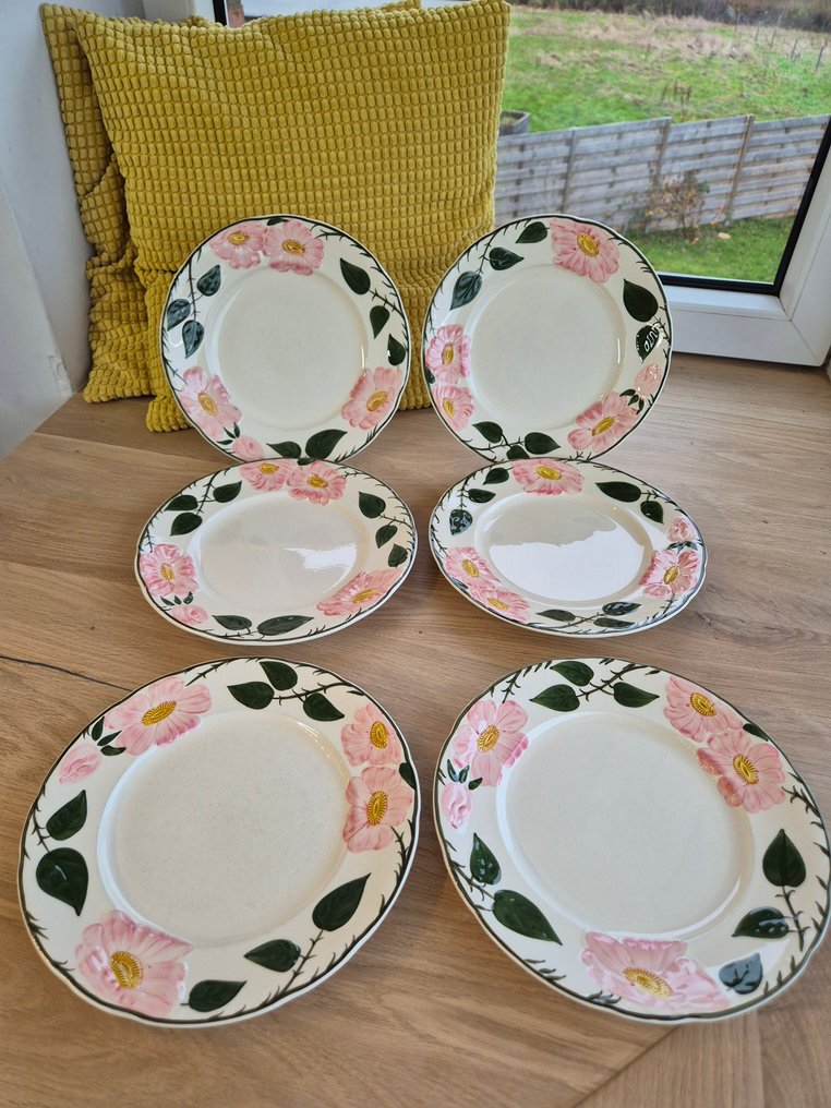 德国唯宝 - 餐盘 (6) - Wild-Rose, Wildrose - 瓷 - 手工绘制，一流！ #1.0