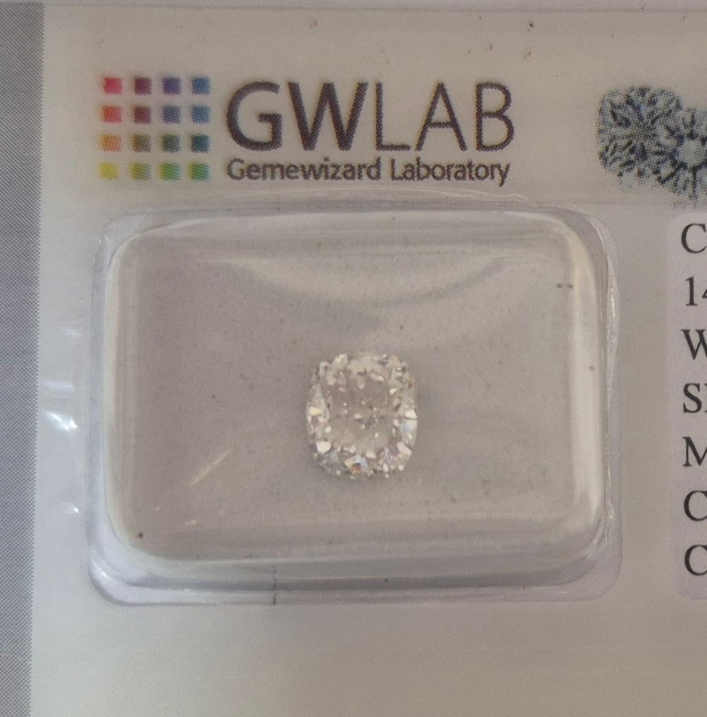 No reserve price - 1 pcs Diamond (Natural) - 1.02 ct - Cushion - E - I1 - Gemewizard Gemological Laboratory (GWLab) #1.0