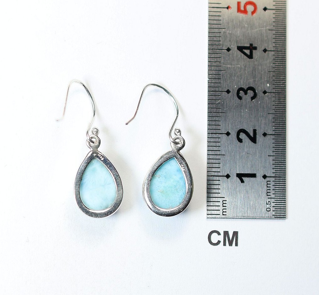 海纹石 2 个耳坠- 5.58 g - (2) #1.0