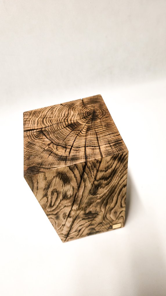 The Forest - Art & Woodworking Studio - Beistelltisch - Eiche - Recycelter Eichenstamm Couchtisch #2.1