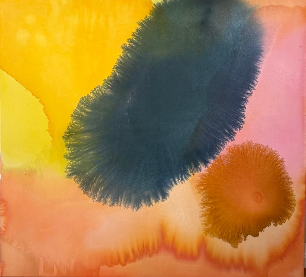 Anna Bila - Morning #1.0