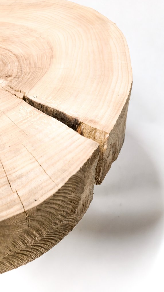 THE FOREST Art & Woodworking Studio - Coffee table - Ash - Unique Handmade Coffee Ta #1.0