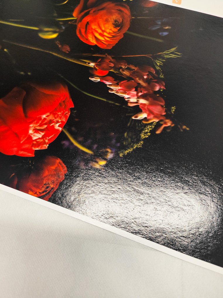 Viet Ha Tran - Secret whisper #1.0