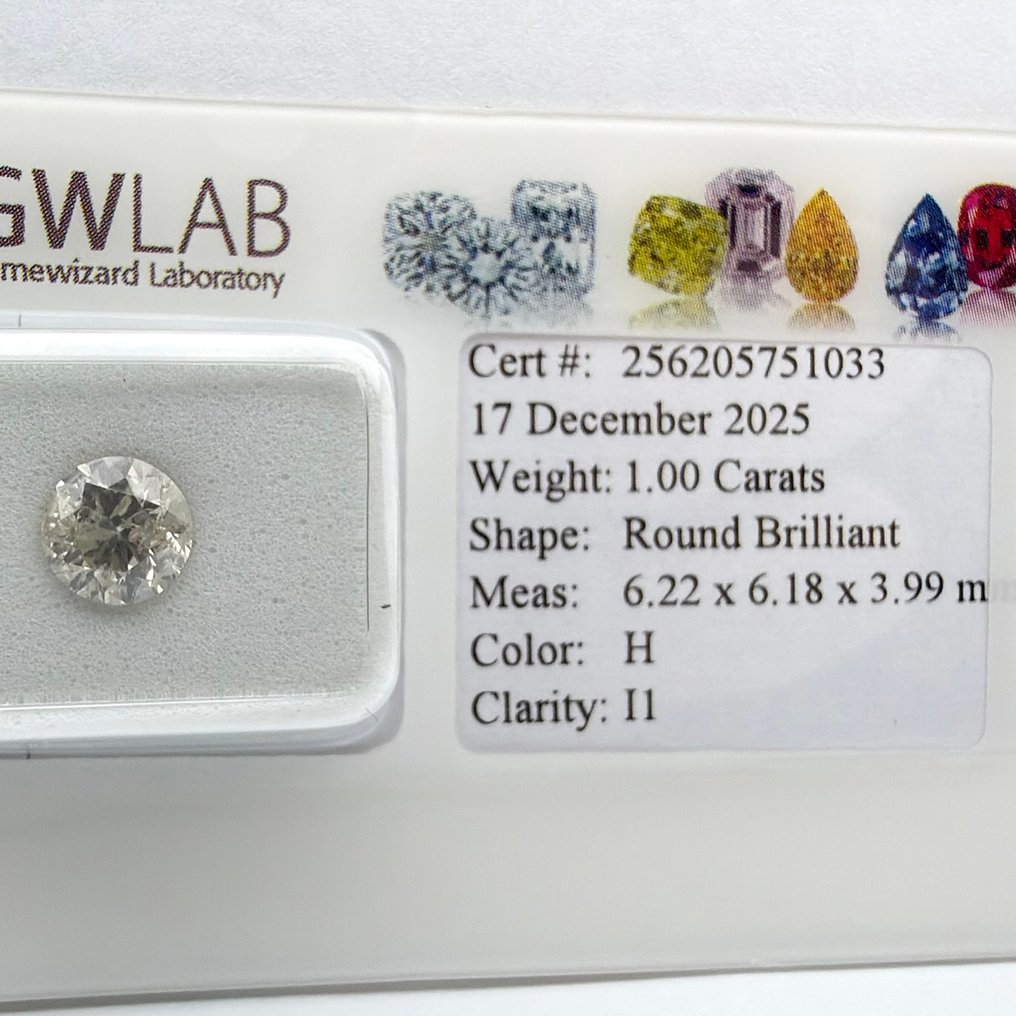 沒有保留價 - 1 pcs 鑽石  (天然)  - 1.00 ct - 圓形 - H(次於白色的有色鑽石) - I1 - Gemewizard Gemological Laboratory (GWLab) #1.0