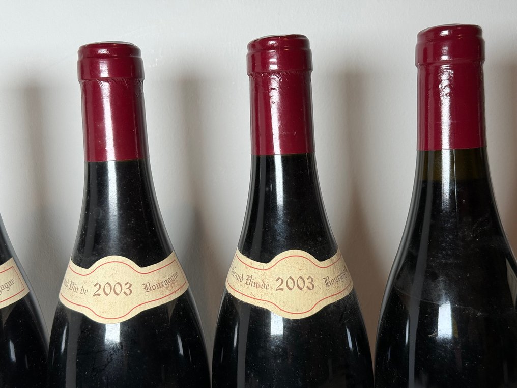 2003 Vincent et Denis Berthaut - Fixin - 6 Flaskor (0,75L) #2.1