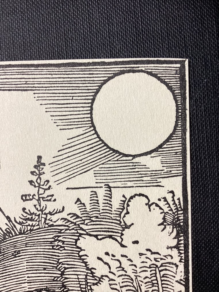 After Albrecht Dürer (1471-1528) - The Astronomer from Messahalah's book ‘De scientia motus orbis’ #2.1