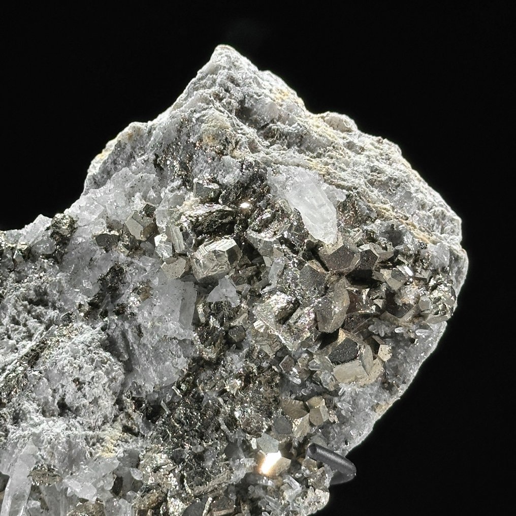 无底价 - 一对美丽的黄铁矿与石英 水晶簇放在定制支架上- 4500 g - (2) #3.2